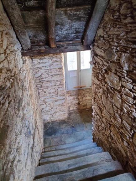 Di Tuda - T3 Apartamento Olmeta-di-Tuda